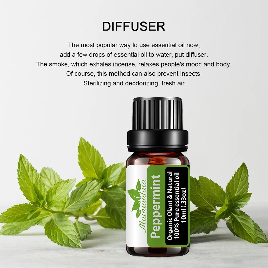 Sa765450504324ff2825738db3ce1e2b2O