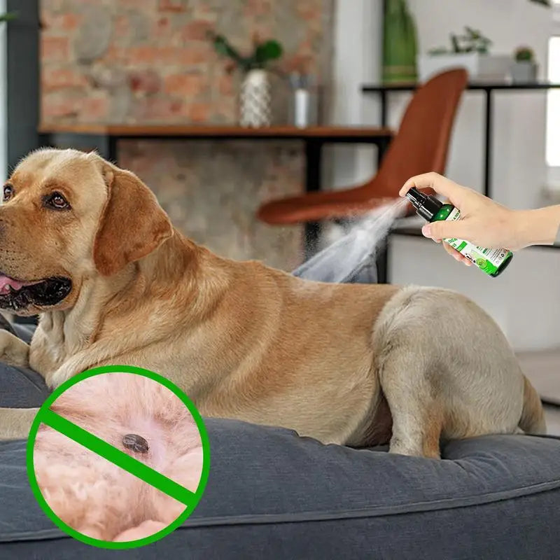 Sde457d9762ea45c9ad0c895bdd6a71aa6