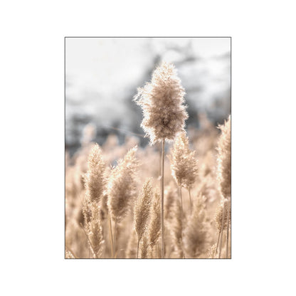 Beige Reed Dandelion Grass Cow Natural Wall Art Canvas Painting Nordic Posters And Prints Wall Pictures For Living Room Decor