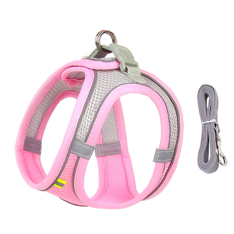 Leash Set for Small Dogs Adjustable Puppy/ Cat Harness