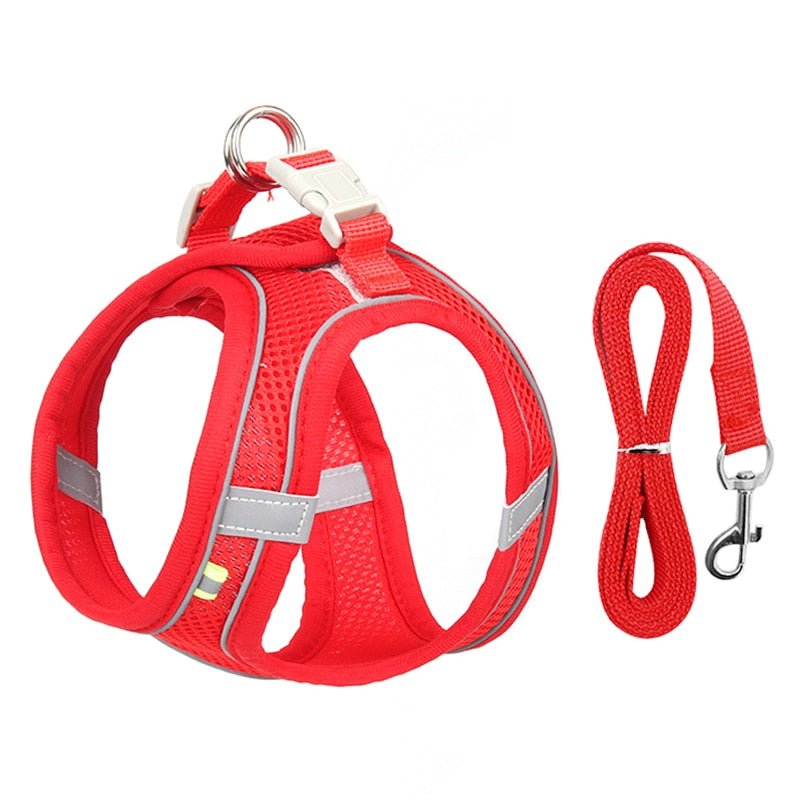 Leash Set for Small Dogs Adjustable Puppy/ Cat Harness