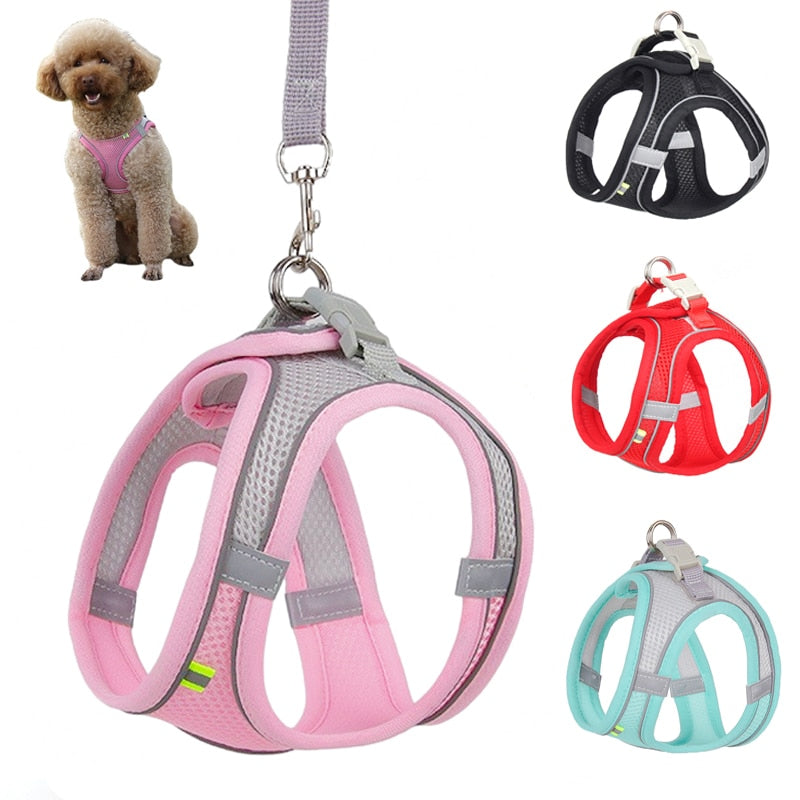 Leash Set for Small Dogs Adjustable Puppy/ Cat Harness