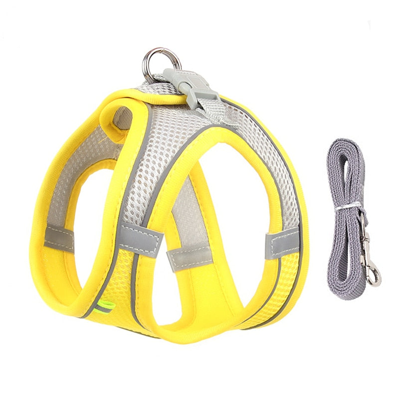 Leash Set for Small Dogs Adjustable Puppy/ Cat Harness