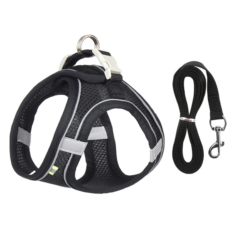 Leash Set for Small Dogs Adjustable Puppy/ Cat Harness